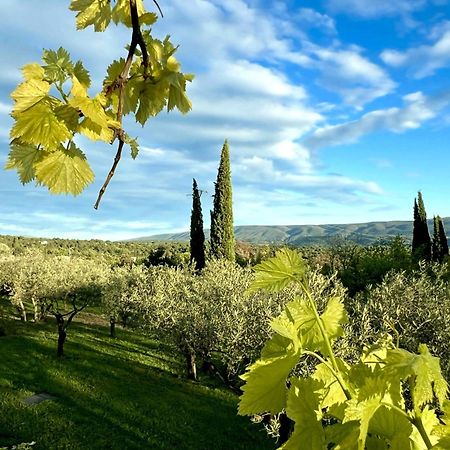 Provence Km28 Bed & Breakfast Горд Екстериор снимка