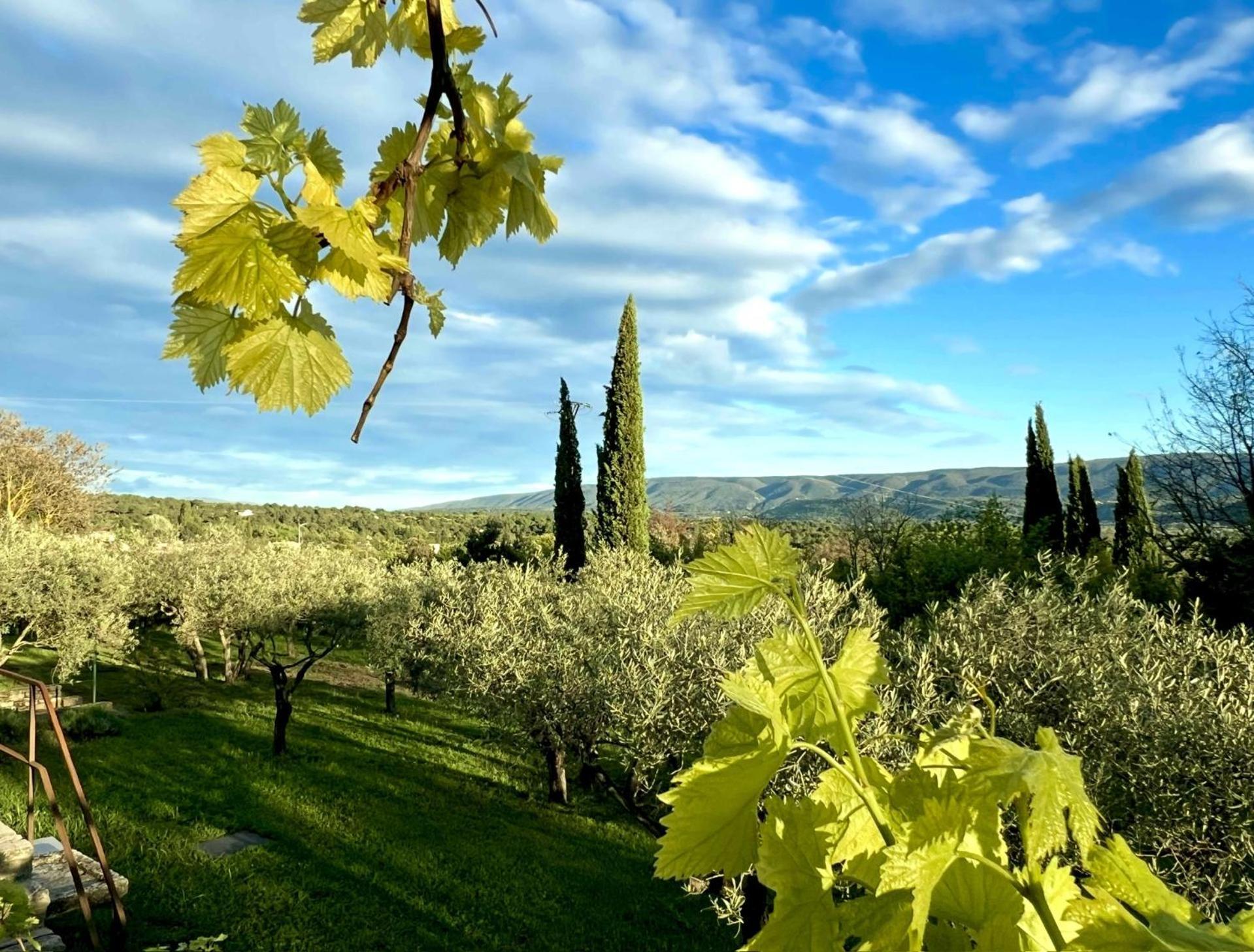 Provence Km28 Bed & Breakfast Горд Екстериор снимка