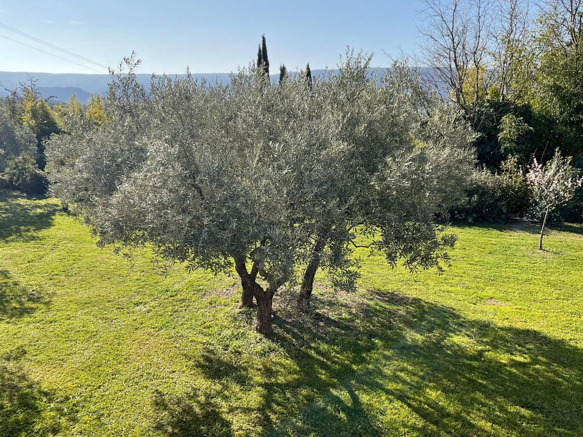 Provence Km28 Bed & Breakfast Горд Екстериор снимка